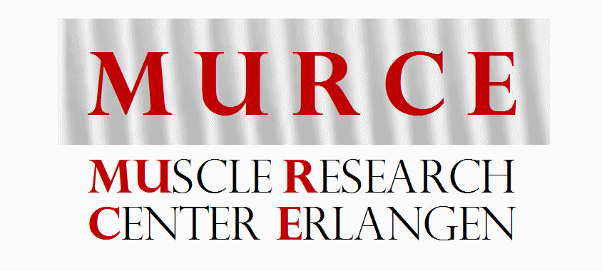 Muscle Research Center Erlangen